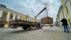 Киров: В городе начались работы по контейнерному озеленению