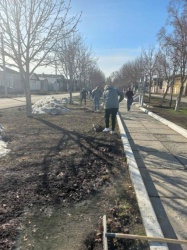 Димитровград: Сотрудники администрации города привели в порядок Аллею ветеранов на улице III Интернационала