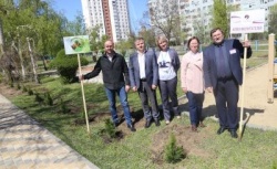 Волгоград: В городе появилась Аллея воспитателей 