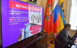 Оренбург: В Администрации города состоялась встреча с руководителями приютов для бездомных животных