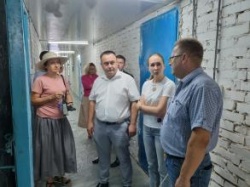Астрахань: Собак на астраханских улицах станет меньше