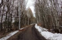 Киров: В городе создают парк у реки