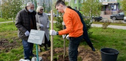 Нижний Новгород: 10 семейных пар высадили именные клены на Аллее золотых юбиляров