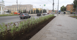 Ижевск: Более 760 деревьев и 7 тысяч кустарников посадили в городе в этом сезоне