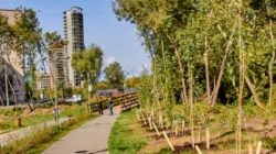 Пермь: В городе завершились работы по озеленению «гостевого маршрута» и долины реки Данилихи