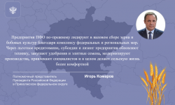 ПФО: В регионах Поволжья собран рекордный урожай зерна за последние 33 года