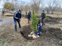 Ульяновск: В честь защитников Отечества в городе создают новый сквер