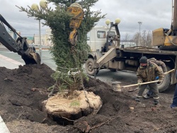 Саранск: В городе началось весеннее озеленение городских территорий