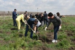 Астрахань: В районе Тополиной рощи высадили две тысячи деревьев