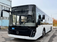Тольятти: В городе будут закуплены новые автобусы