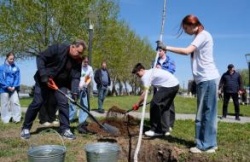 Астрахань: В городе на центральной набережной начали высаживать "Сад Памяти"