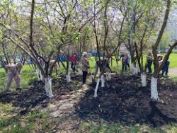 Стерлитамак: «Зелёная Башкирия» в городе