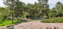 Волгоград: За пять лет в городе благоустроено 40 общественных территорий