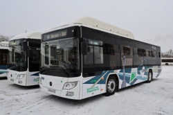 Самара: Новые автобусы вышли на шесть маршрутов в городе