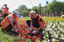 Нижнекамск: В городе высадили около 2 500 деревьев и 30 565 кустарников