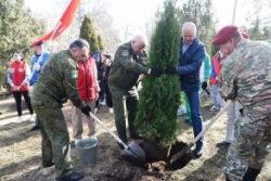 Астрахань: В городе высадили Крымскую аллею