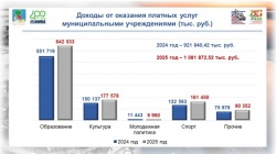 Набережные Челны: Платные муниципальные услуги по итогам 2025 года принесли сверхплан