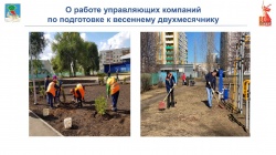 Набережные Челны: В городе высадят 6 200 деревьев и кустарников