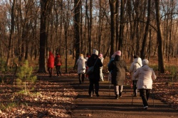 Ульяновск: Город вошёл в пятёрку победителей Всероссийского проекта «Каждому муниципалитету – маршрут здоровья»