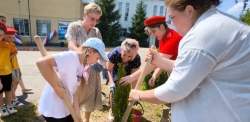 Нижний Новгород: Туи посадили на Аллее памяти в школе № 78 ко Дню России