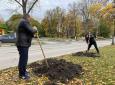 Ульяновск: В городе высадили более 45 тысяч тюльпанов