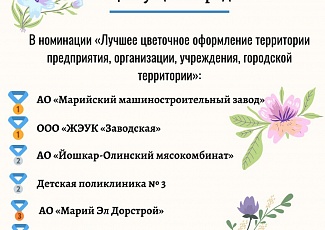 Йошкар-Ола: В городе подвели итоги конкурса «Цветущий город»